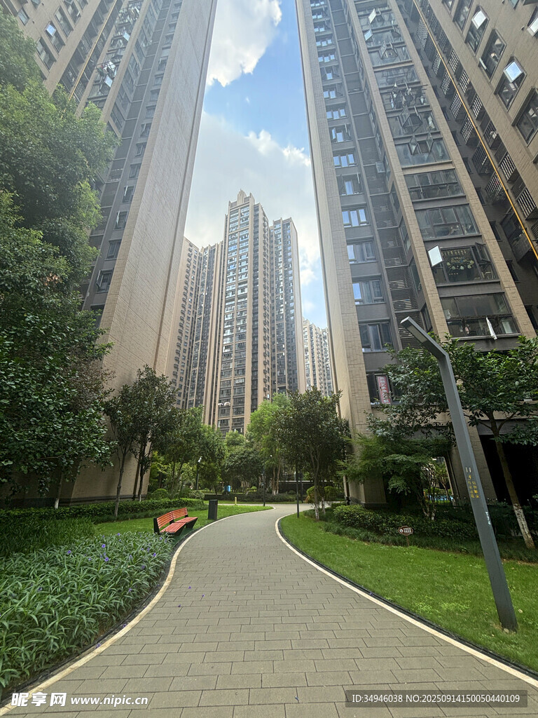 城市中的静谧林荫步道