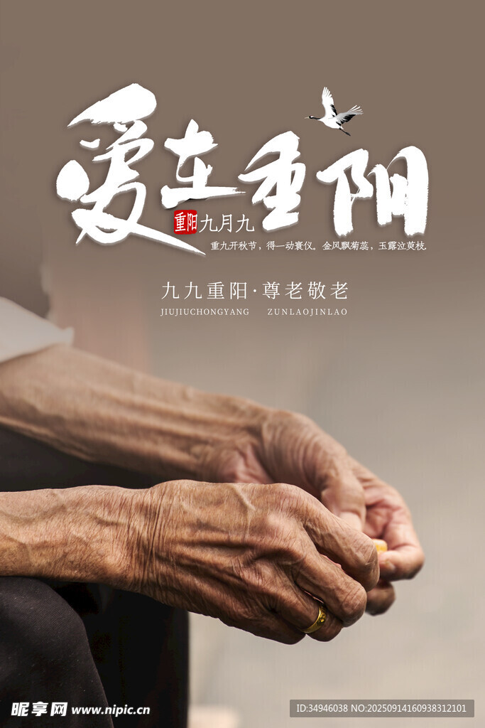 重阳节海报
