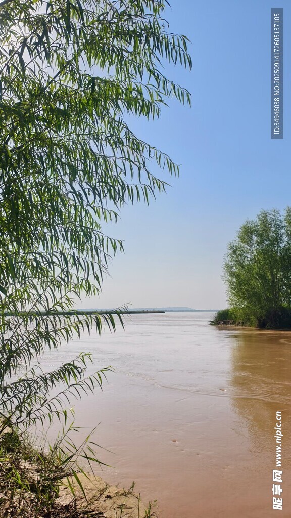 河畔垂柳映碧水
