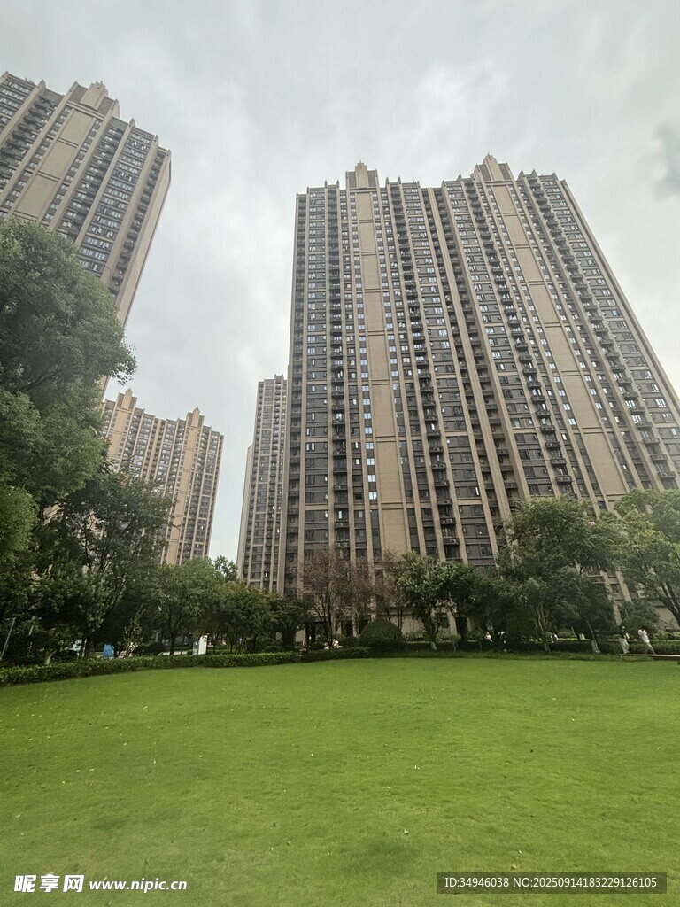 城市草坪旁的高层住宅楼