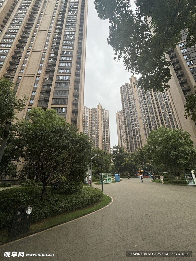 城市小区内的林荫道路