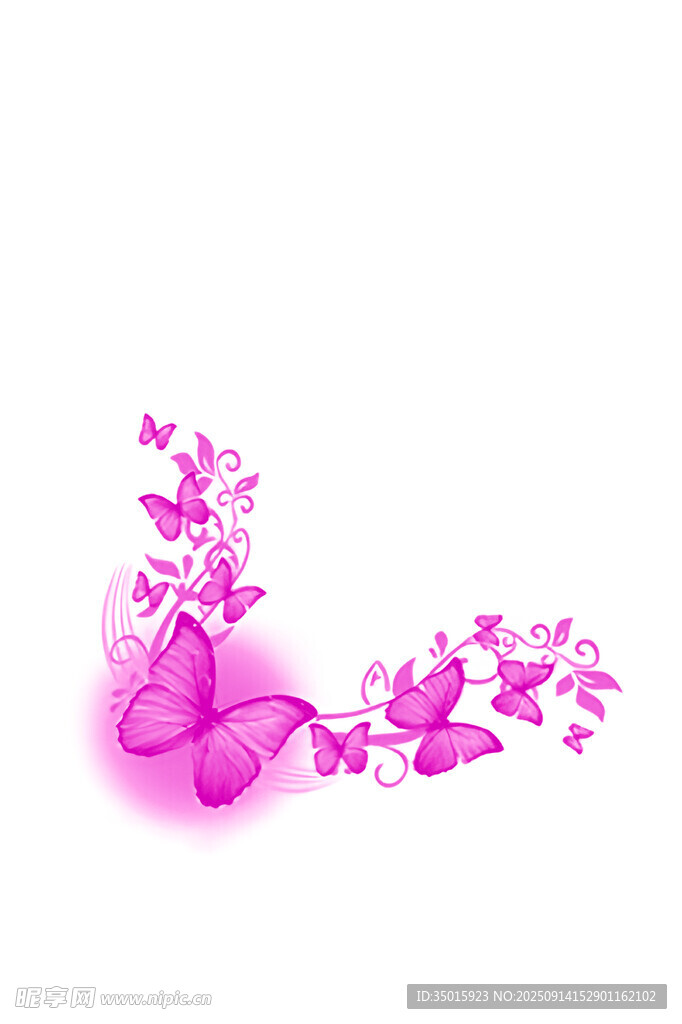 定位花