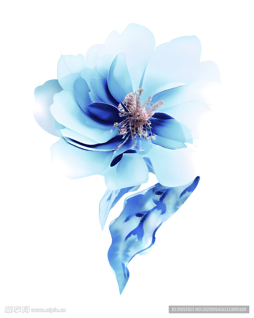 定位花