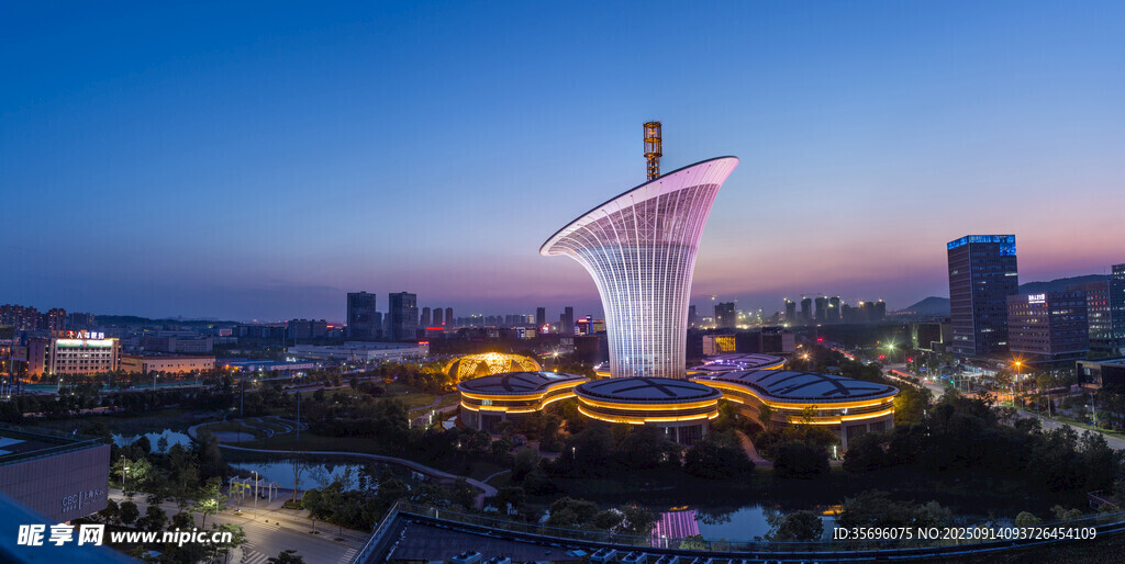 城市璀璨夜景中的独特建筑