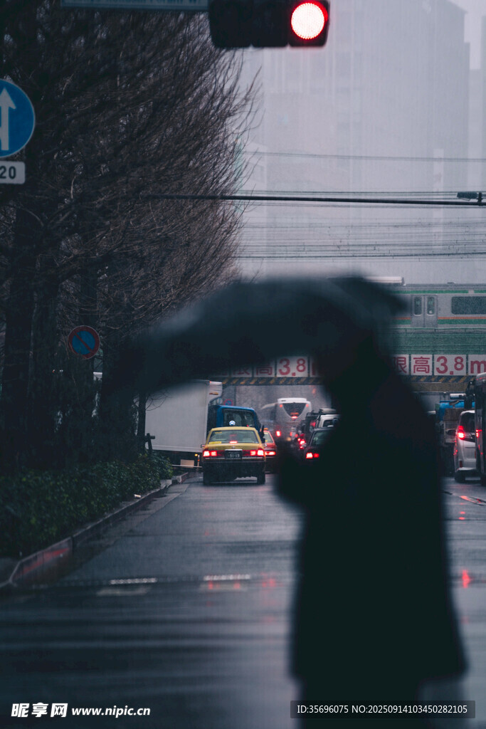 雨中行人撑伞过红绿灯