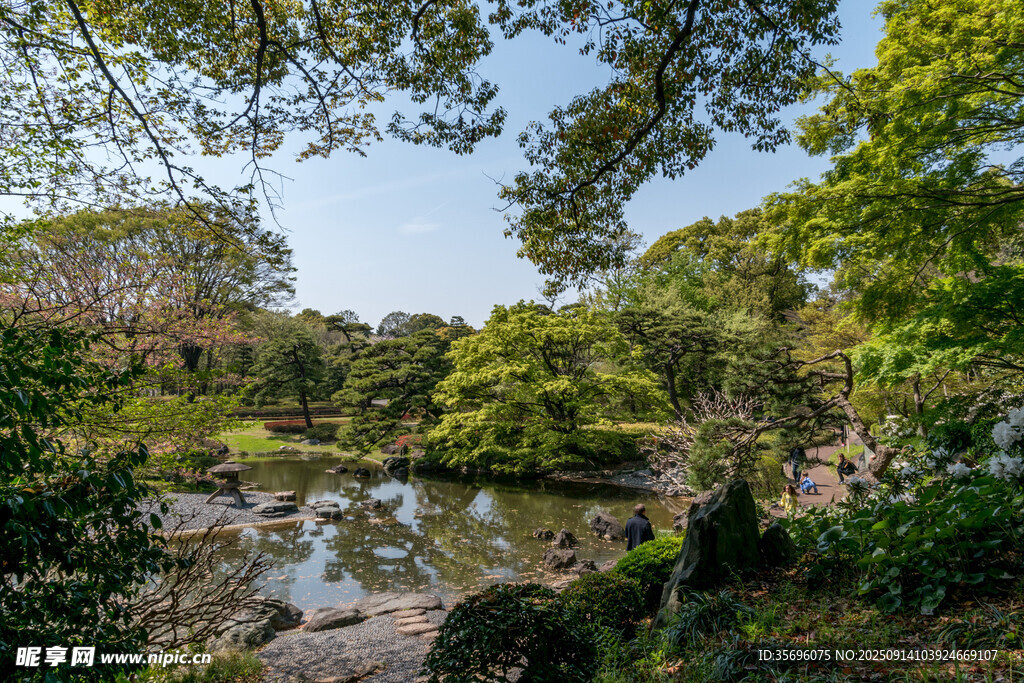 静谧林间池塘自然美景