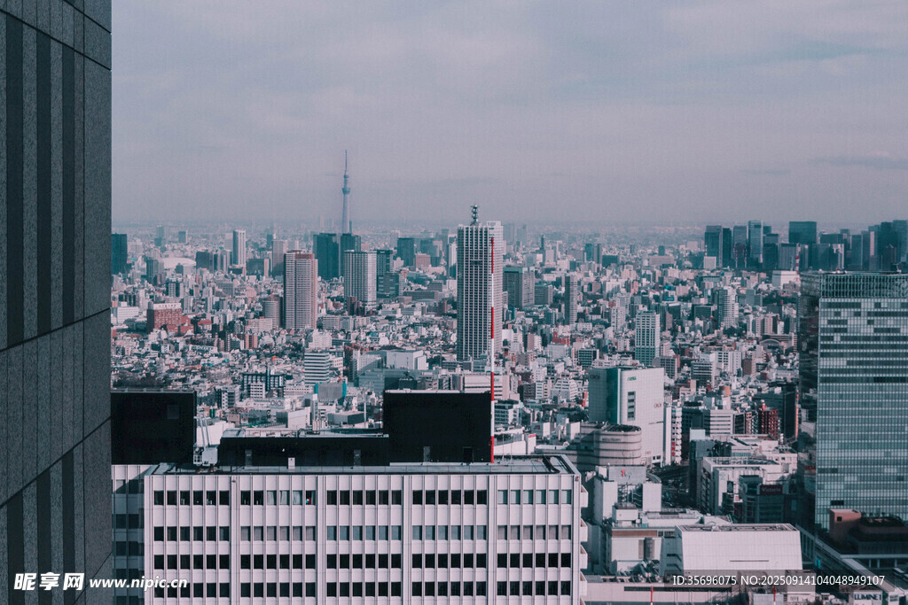 俯瞰繁华都市景观