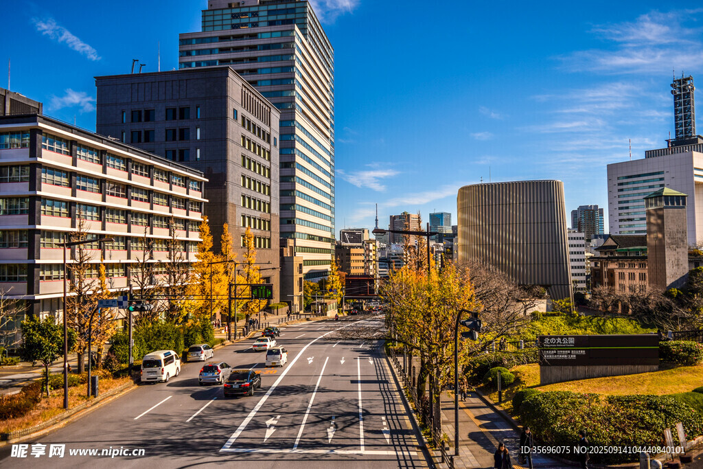 城市道路旁的现代建筑景观