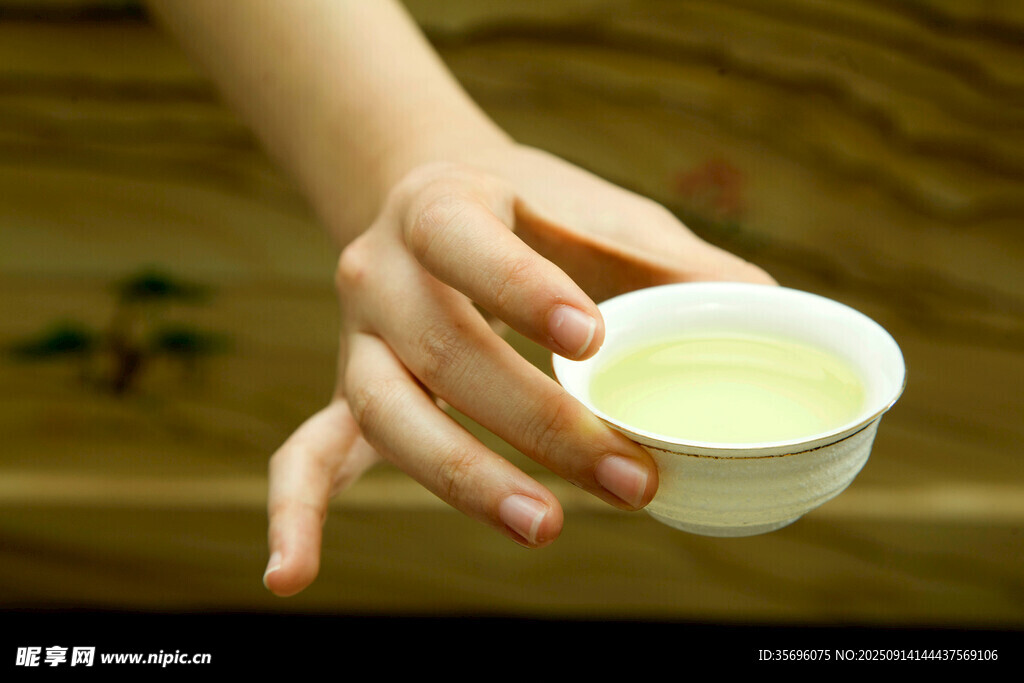 手捧清茶品茗韵