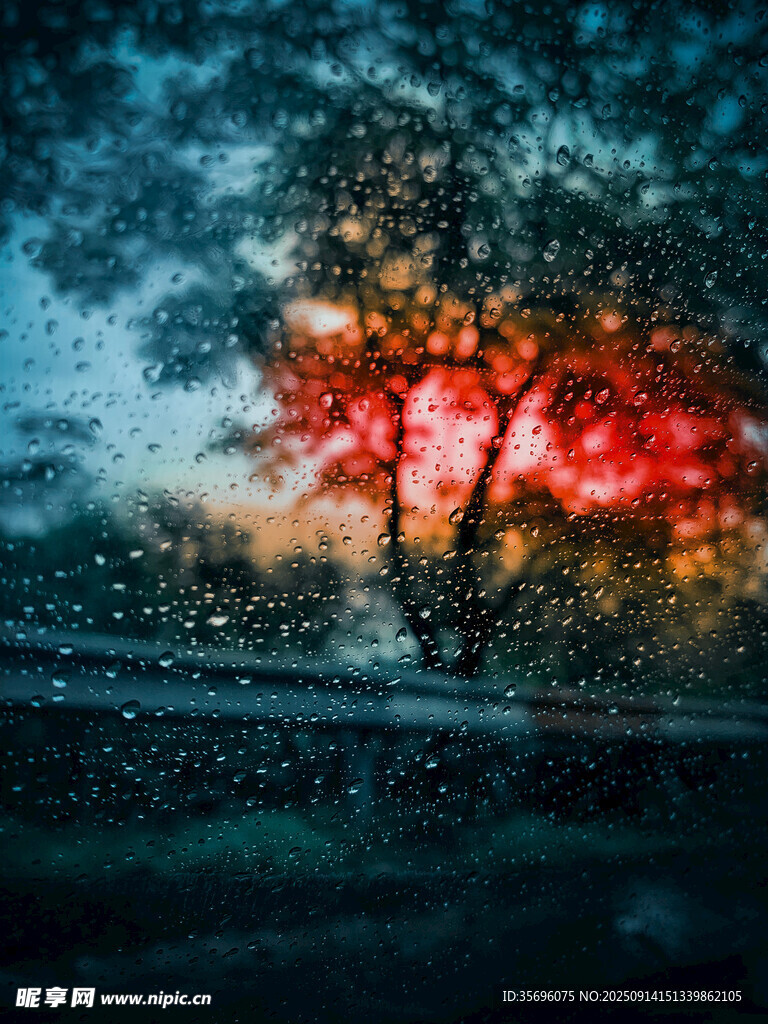 雨中绚烂树木的梦幻景象