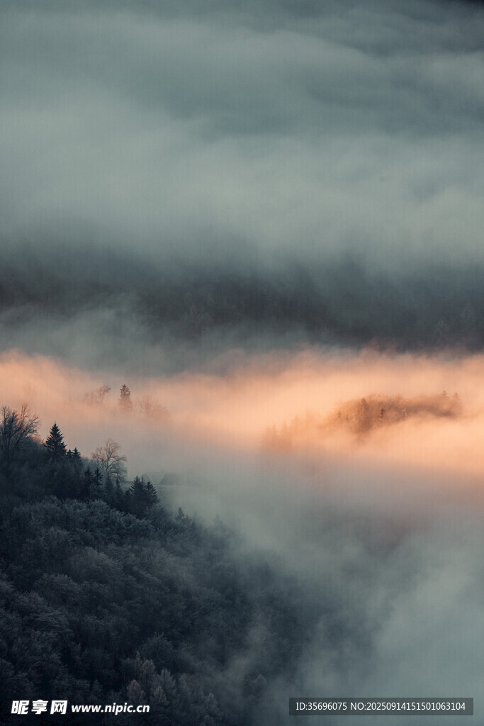 山间云雾缭绕的梦幻景致