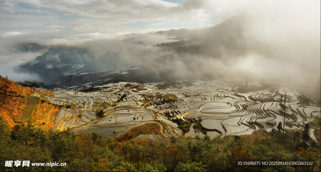 云雾缭绕的山谷美景