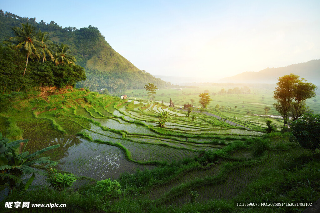 山间梯田美景