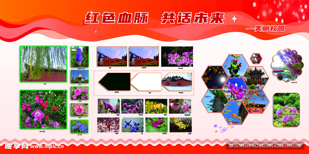 校园风貌