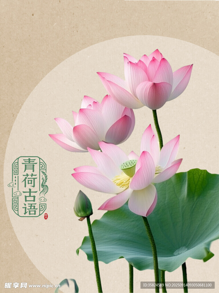 水墨荷花