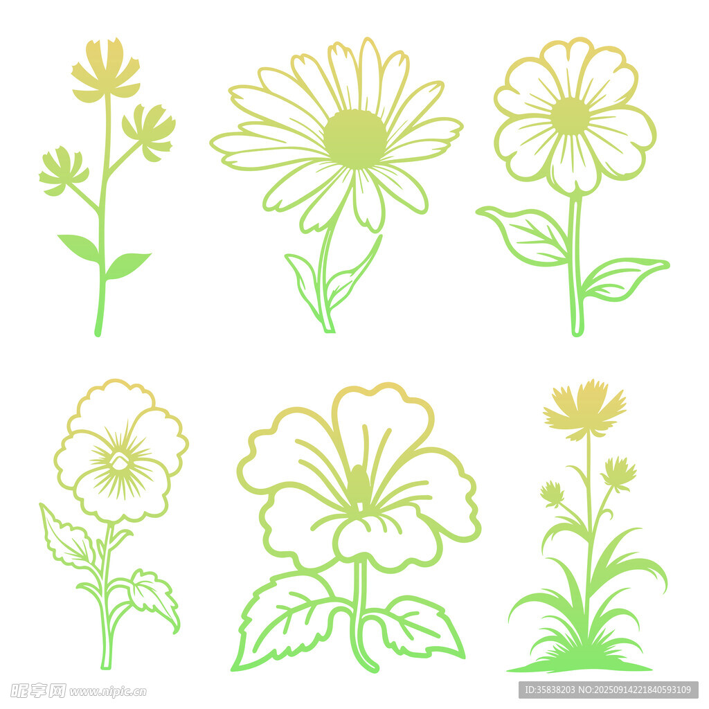 手绘风花卉图案