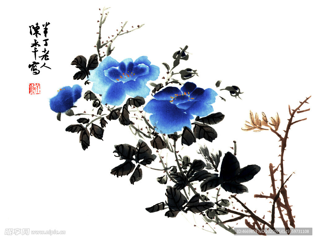 月季