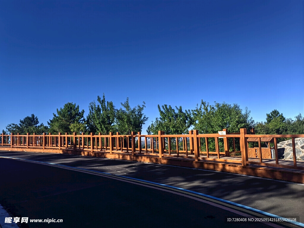 公路旁的橙色护栏与绿树