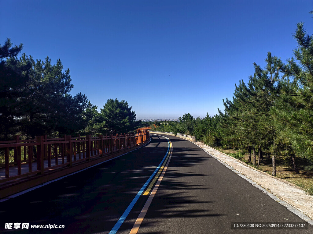 林间公路