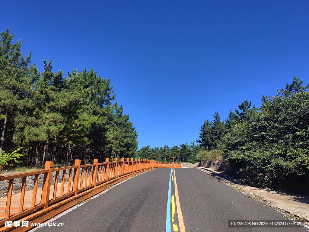 林间公路