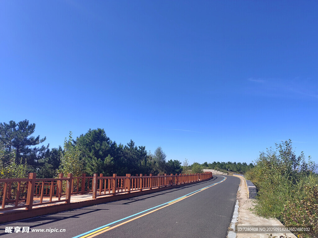 宽阔公路旁的秋日树林