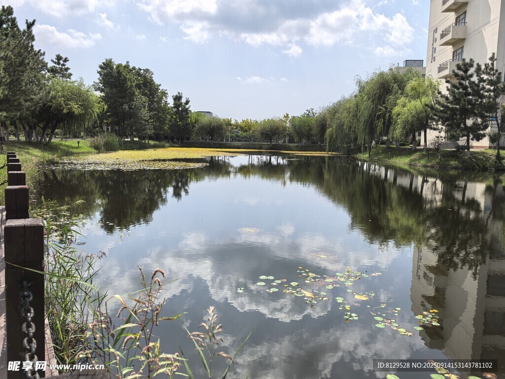湖畔风光宁静自然景致