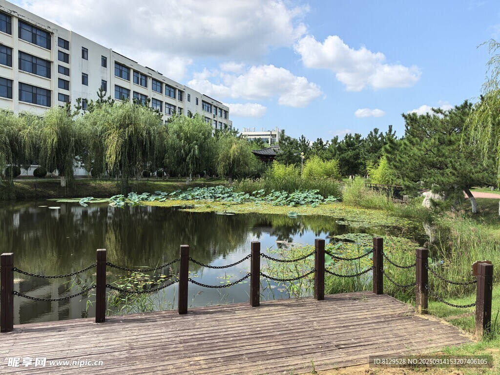 湖畔校园风景