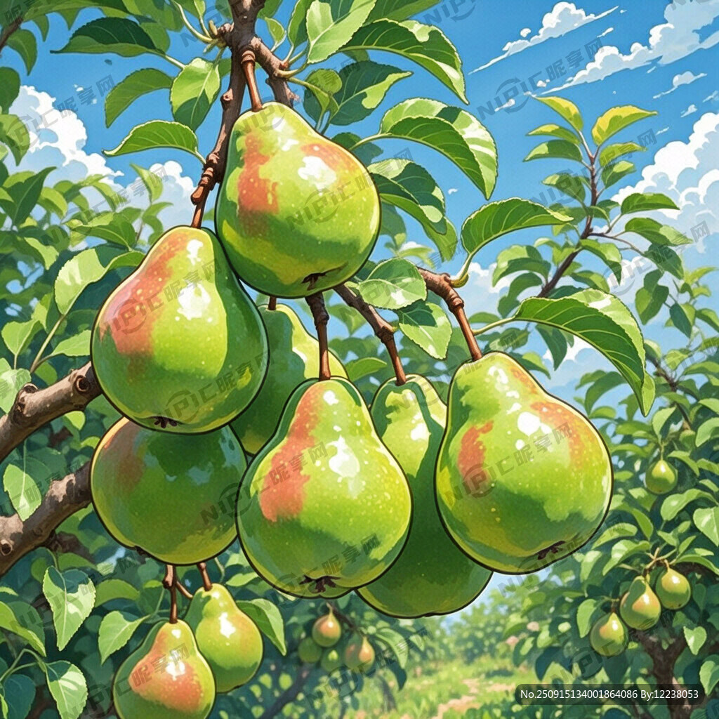水彩画 翠冠梨 一大串挂在树上