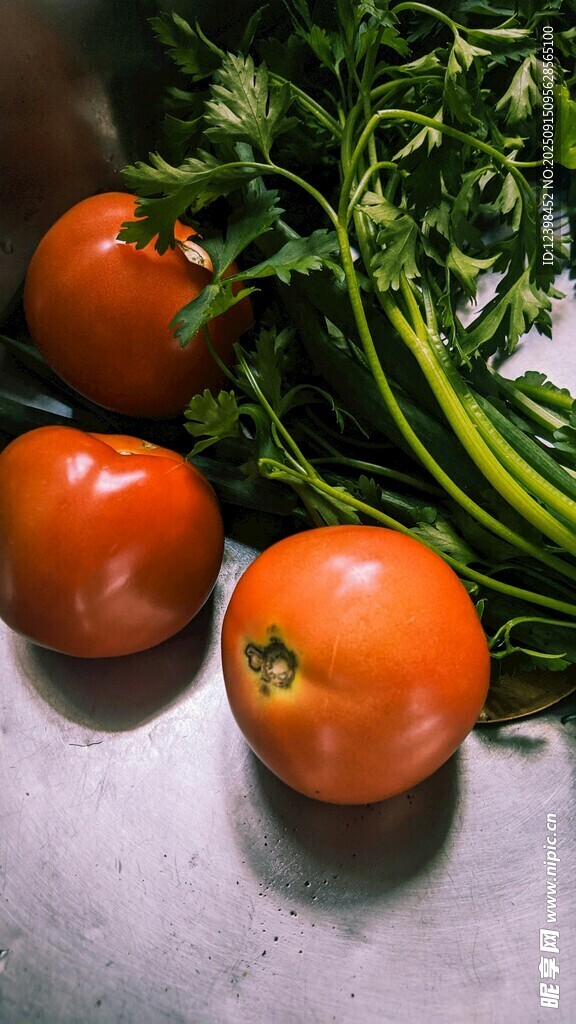 新鲜番茄与翠绿蔬菜