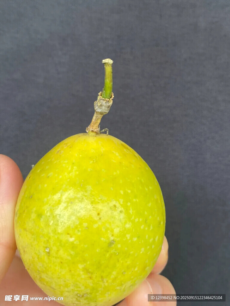手捧鲜黄百香果