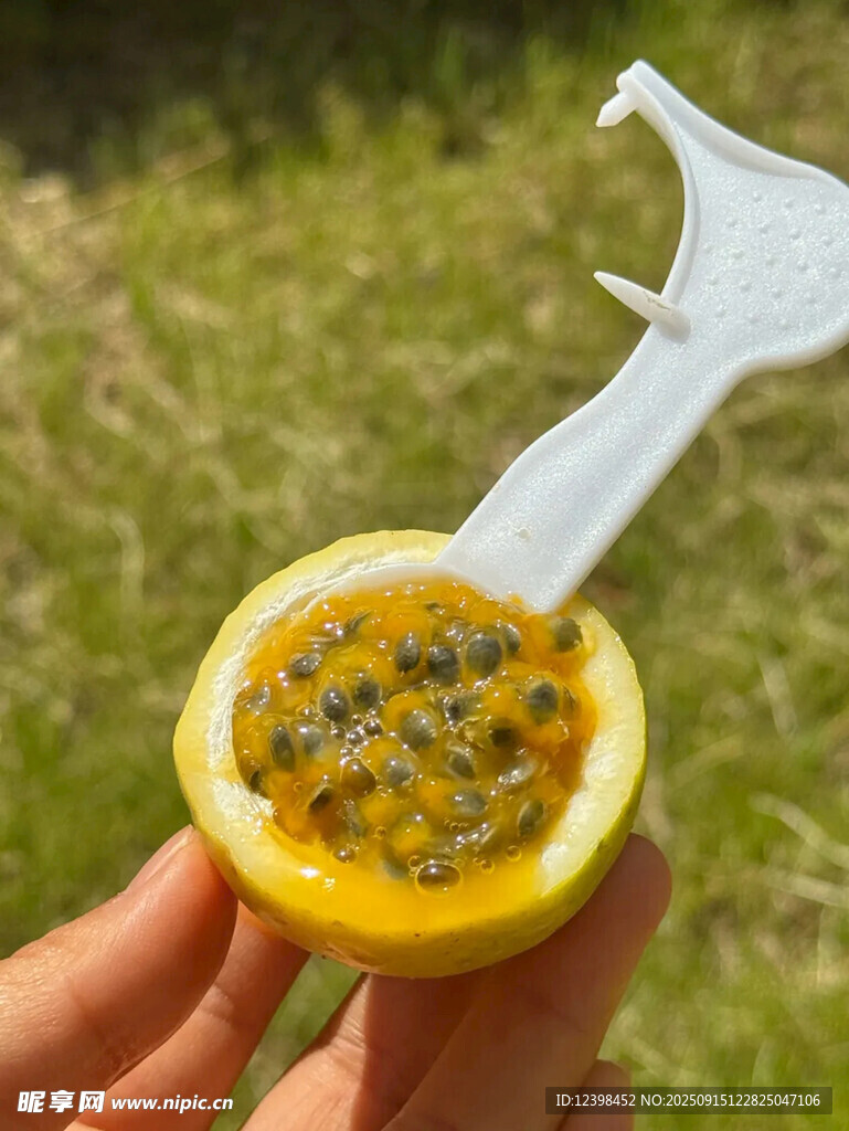 手持切开的百香果