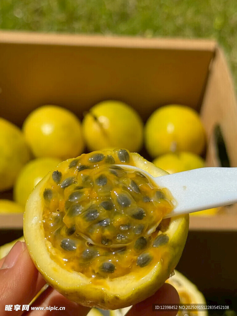 新鲜切开的百香果果肉