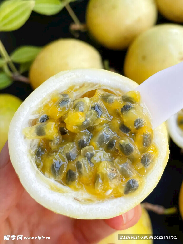 手持切开的美味百香果
