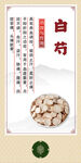 传统中药材白芍展示
