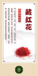 中药材 藏红花展示