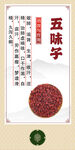 五味子药材展示图