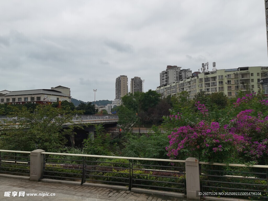 城市河畔风景繁花相伴