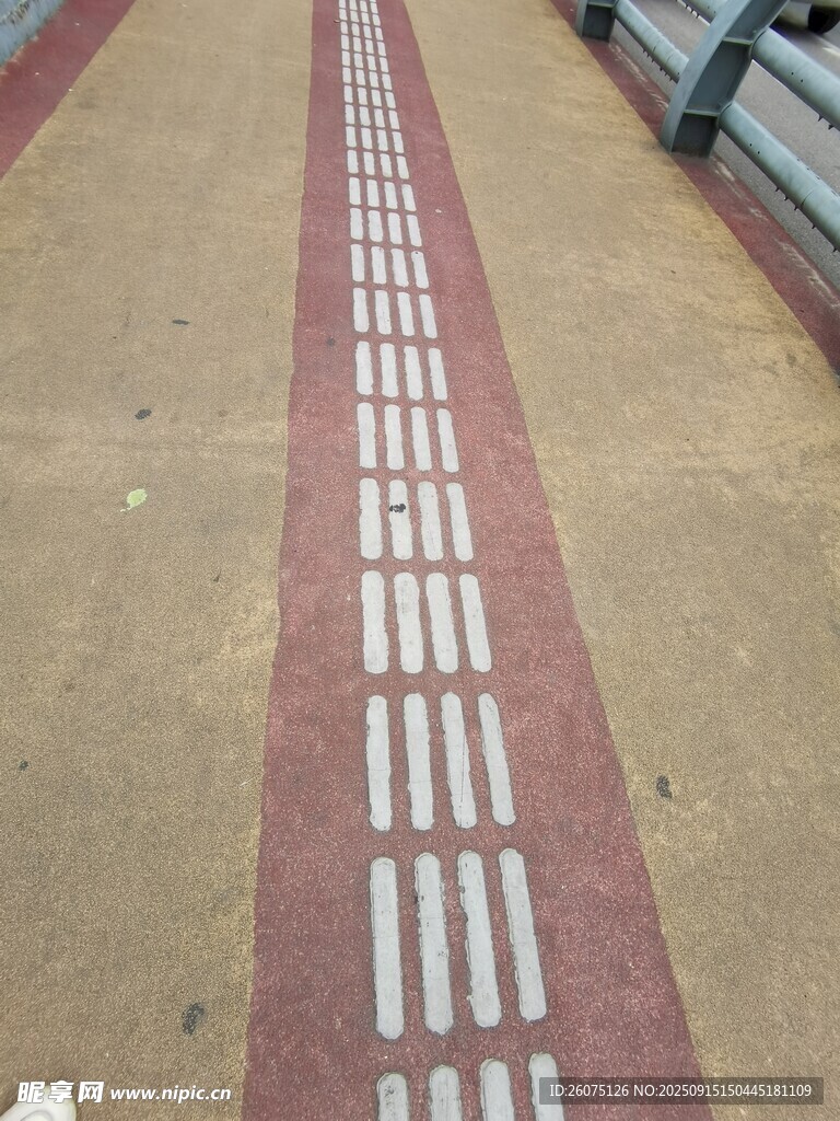 盲道特写