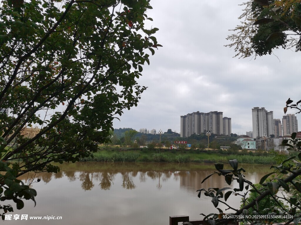 河畔城市风景