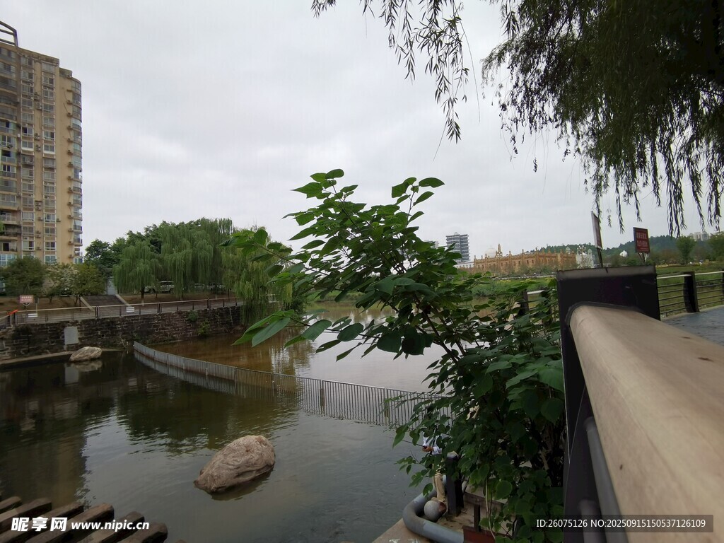 河畔风景绿植环绕的宁静地