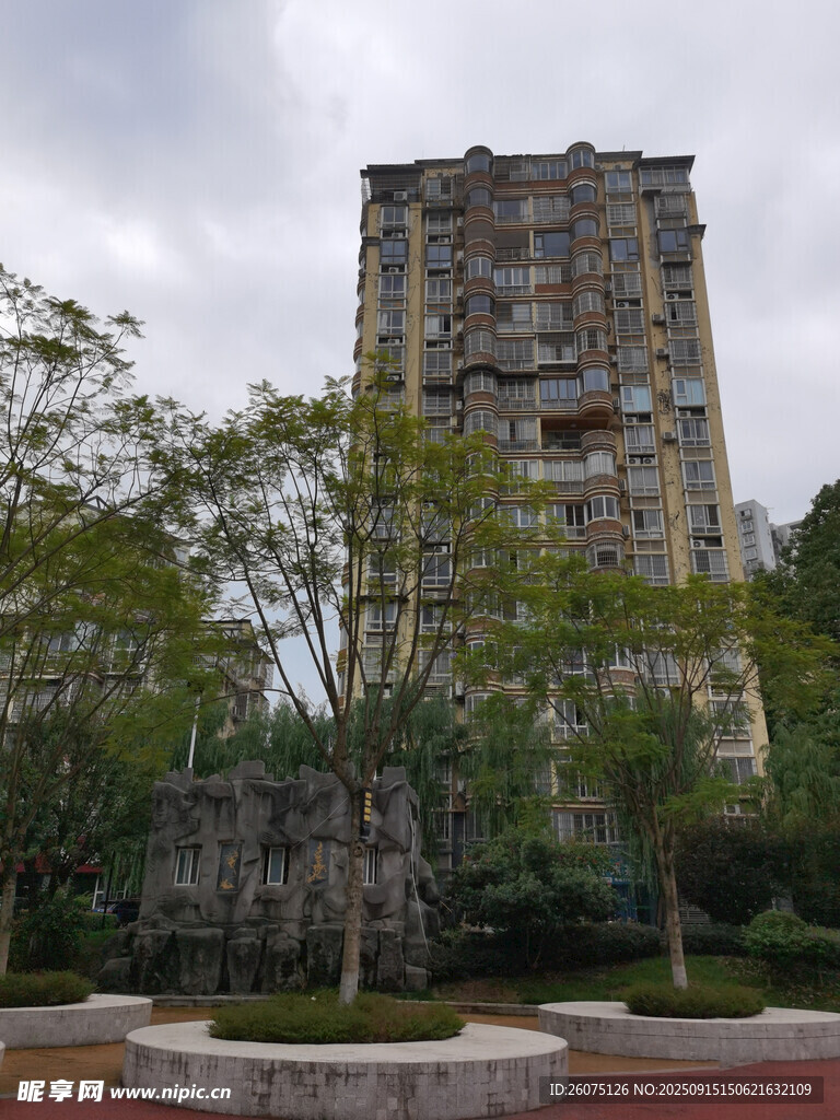 废弃高楼旁的绿植景观