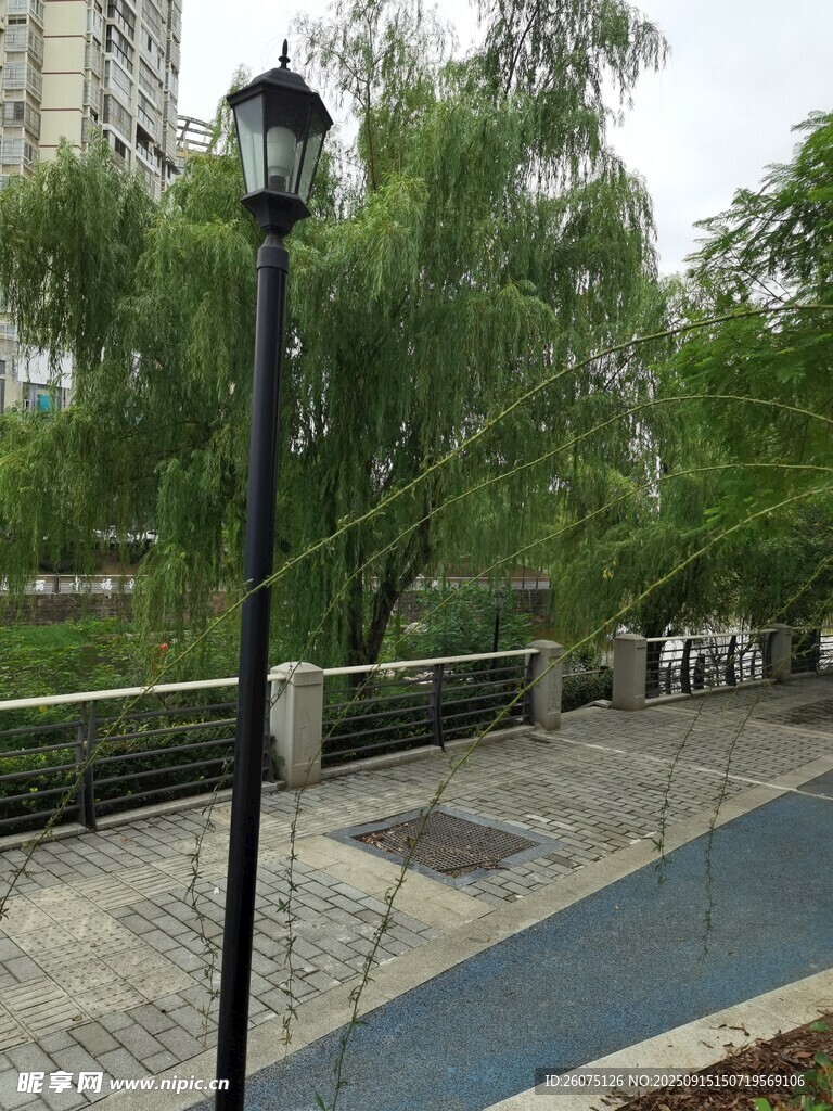 城市绿荫下的静谧步道