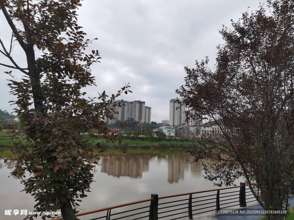 湖畔风景城市与自然交融