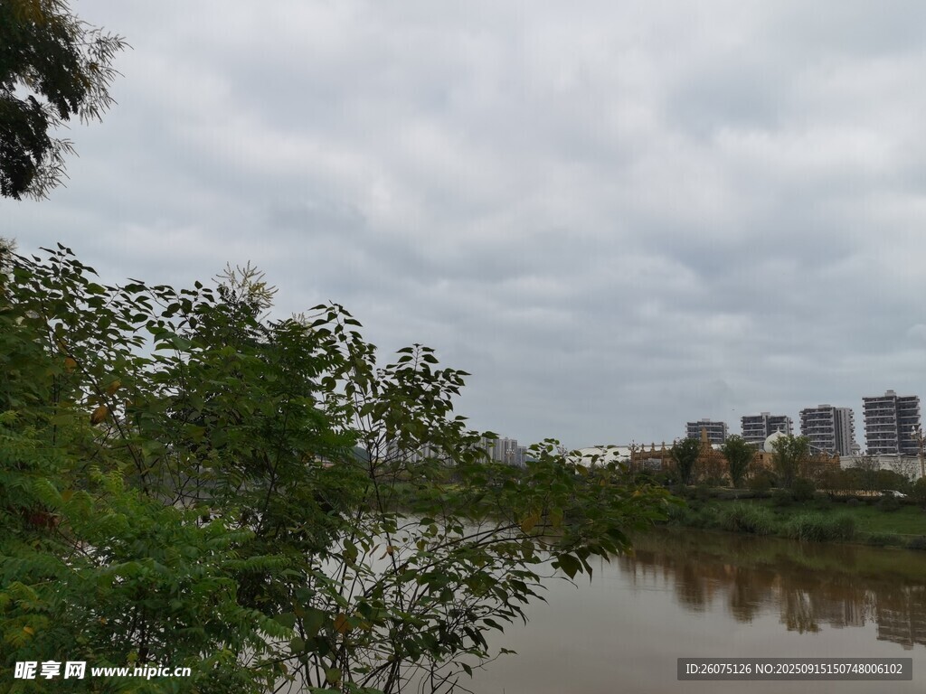 河畔绿树与远处高楼景观