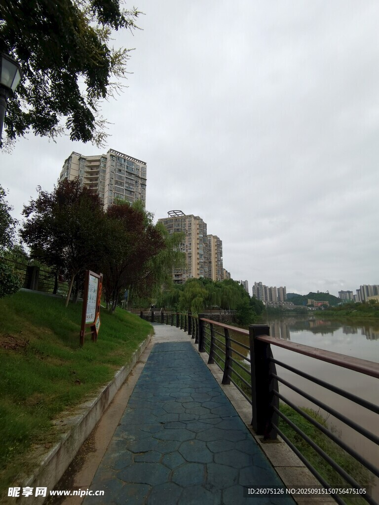 城市河畔的静谧步道