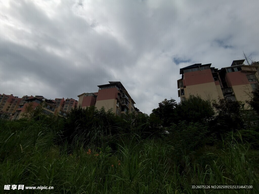 阴天中的居民楼与草地