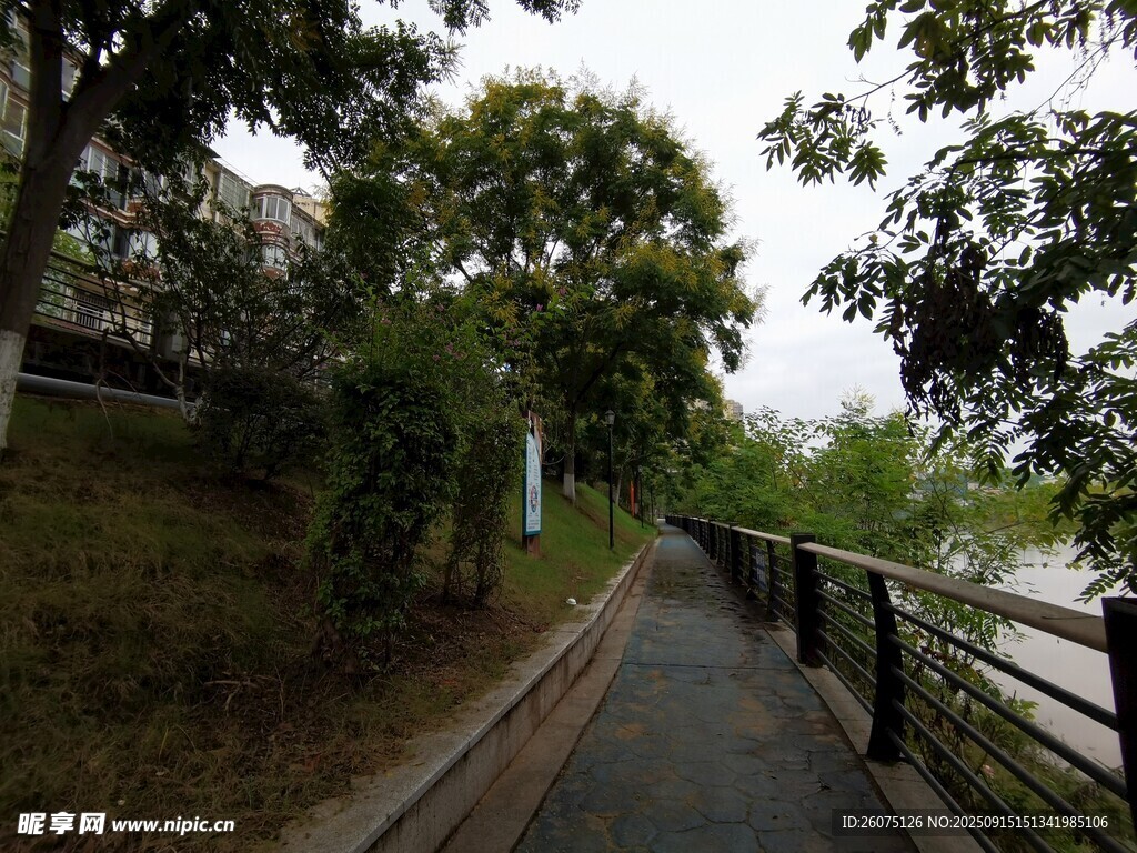 林间幽静步道