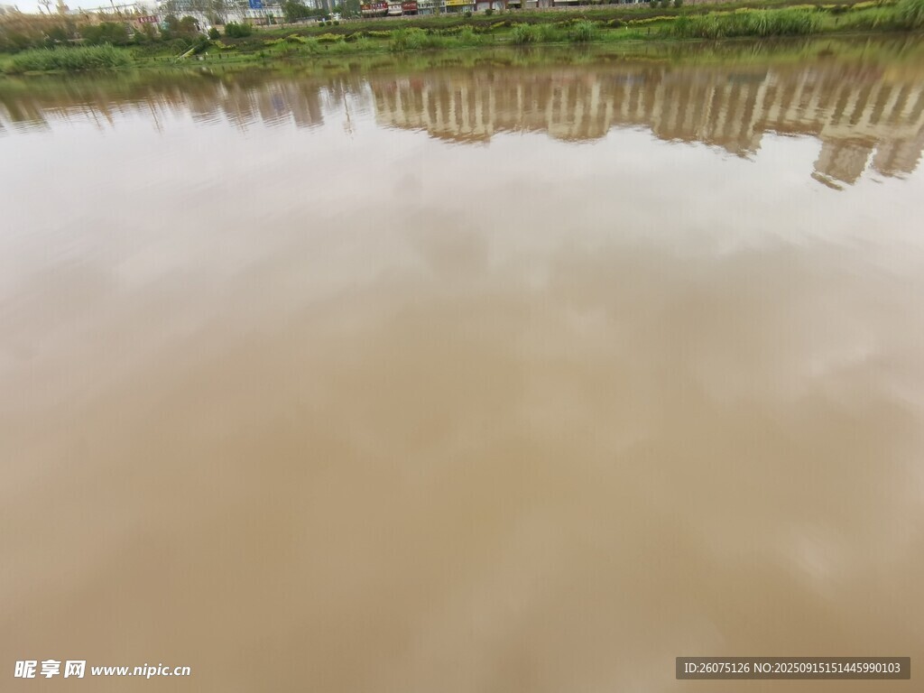 浑浊河水映岸边景象