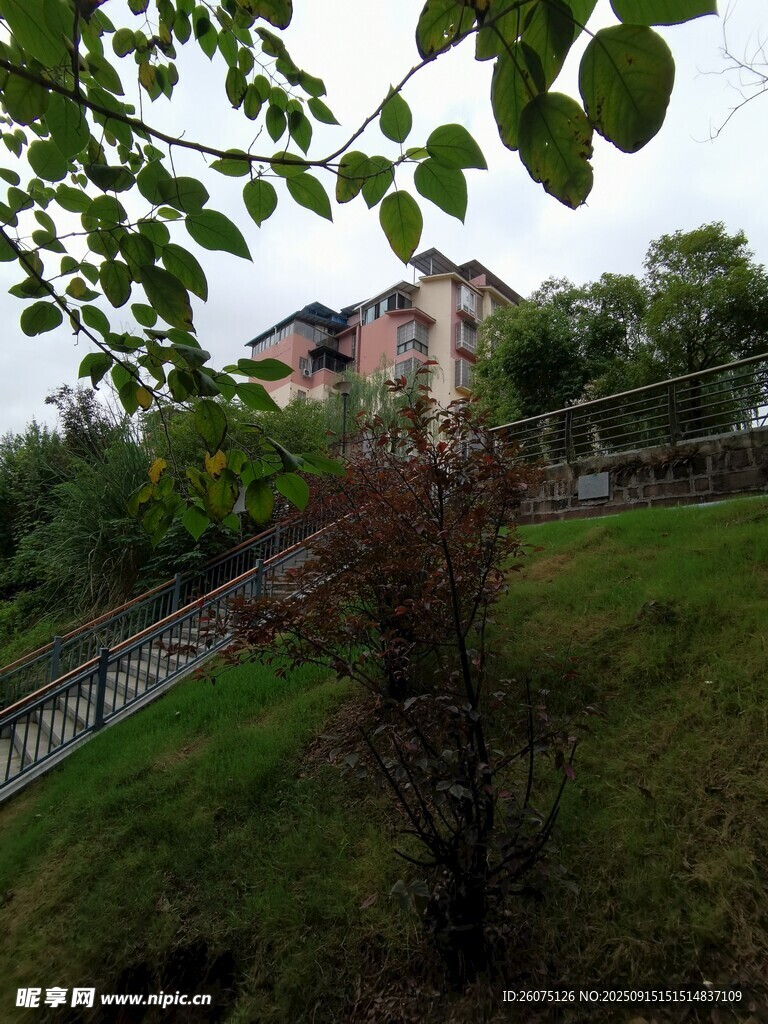 山坡上的精美住宅