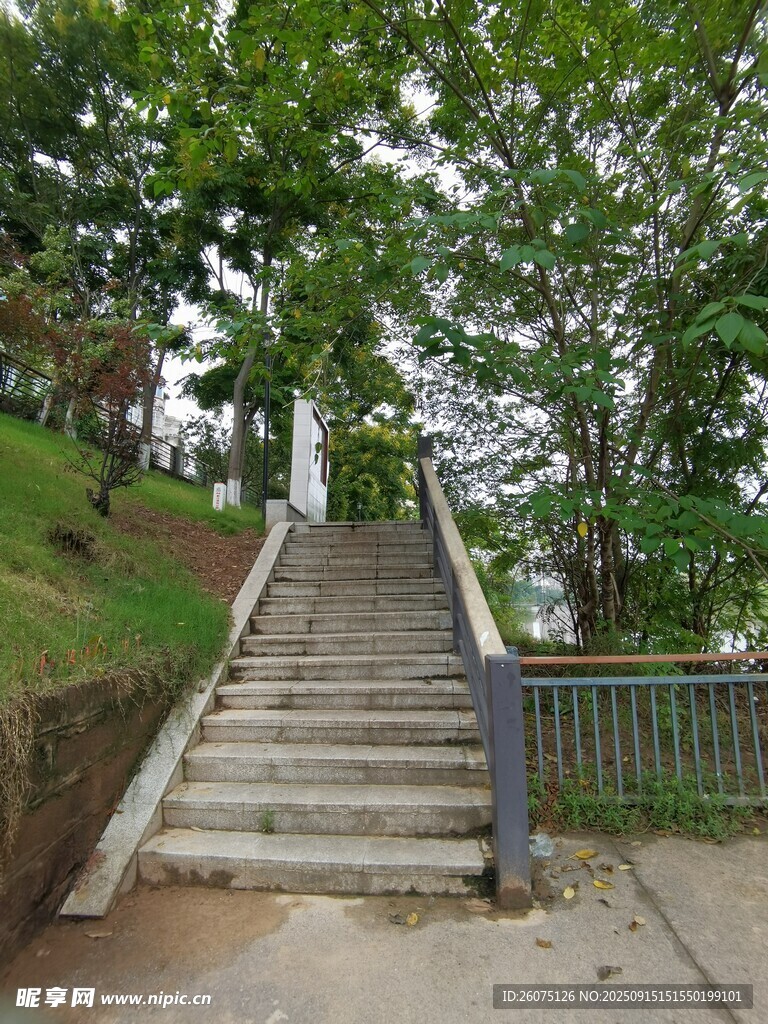 林间石阶通往静谧之境